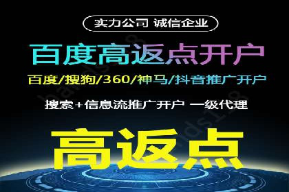 百度竞价排名服务：成功案例解析与优化策略